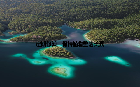 定期修剪, 保持植物整洁美观