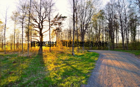 夏季高温时, 可适当增加浇水频率