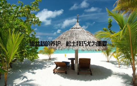 而盆栽的养护, 松土技巧尤为重要
