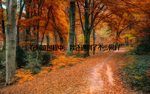 在展览过程中, 我还遇到了不少同行