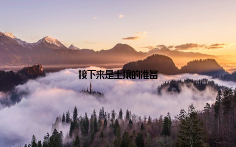 接下来是土壤的准备