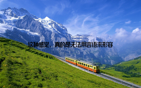 这种感觉, 真的是无法用言语来形容