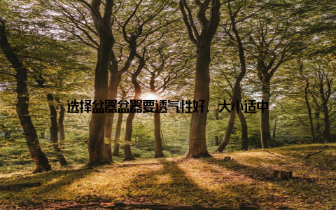 选择盆器盆器要透气性好, 大小适中