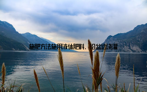 施肥方法施用液体肥料, 沿盆边浇灌