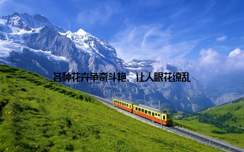 各种花卉争奇斗艳, 让人眼花缭乱