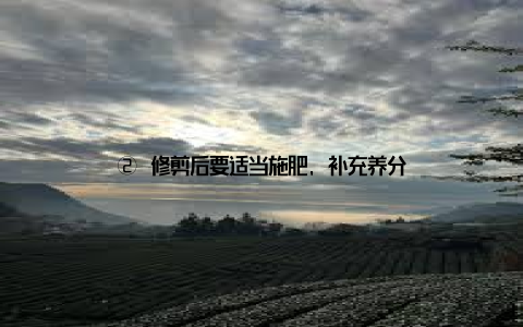 ② 修剪后要适当施肥, 补充养分