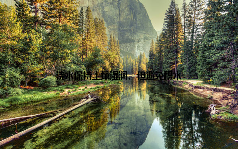 浇水保持土壤湿润, 但避免积水