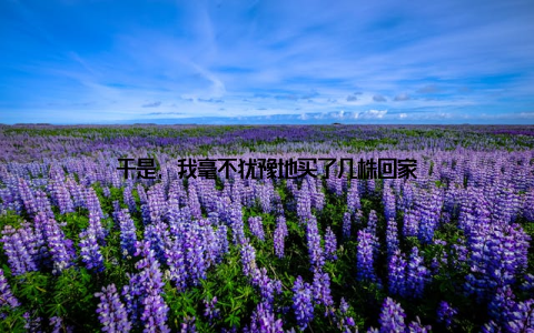 于是, 我毫不犹豫地买了几株回家