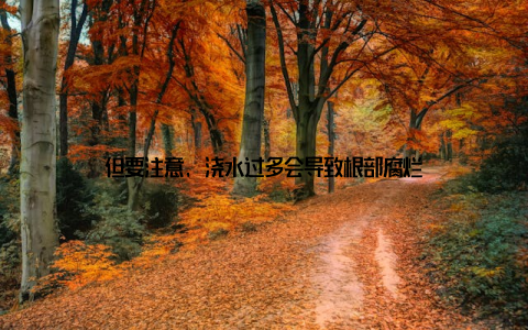 但要注意, 浇水过多会导致根部腐烂