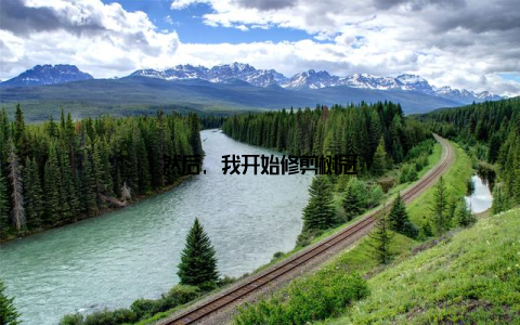然后, 我开始修剪树冠