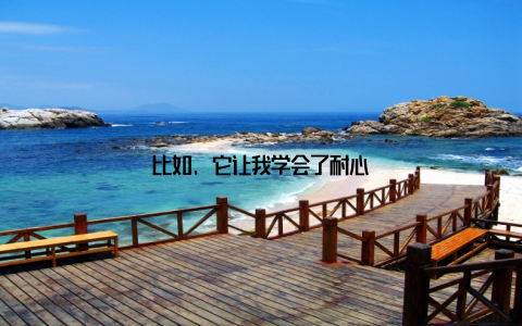 比如, 它让我学会了耐心