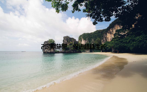 2定期施肥, 促进植株生长