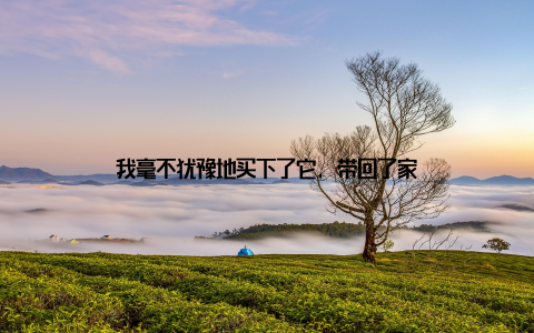 我毫不犹豫地买下了它, 带回了家