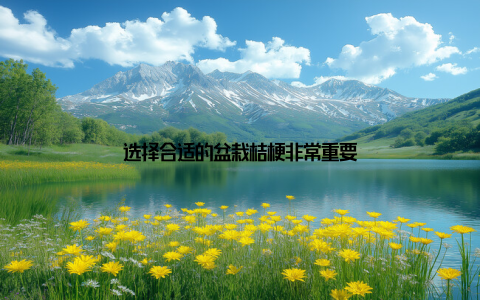 选择合适的盆栽桔梗非常重要