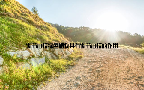 调节心情绿色植物具有调节心情的作用