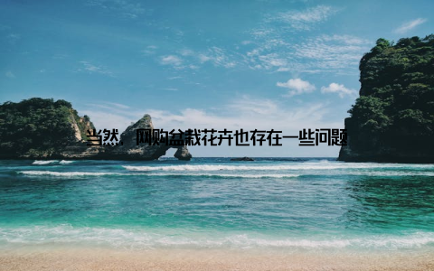 当然, 网购盆栽花卉也存在一些问题