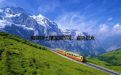 一般保持土壤湿润即可, 避免积水