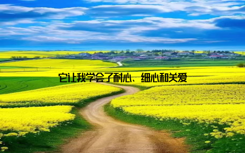 它让我学会了耐心、细心和关爱