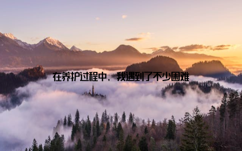 在养护过程中, 我遇到了不少困难