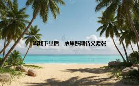 当我下单后, 心里既期待又紧张