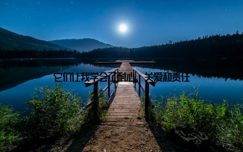 它们让我学会了耐心、关爱和责任