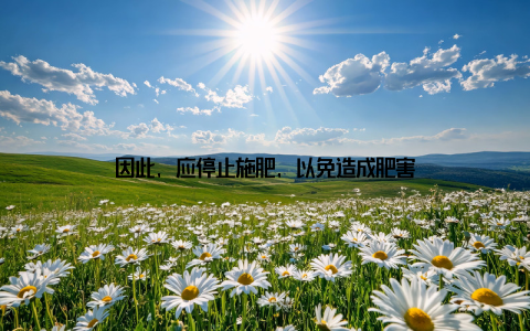 因此, 应停止施肥, 以免造成肥害