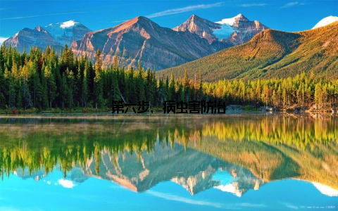 第六步, 病虫害防治