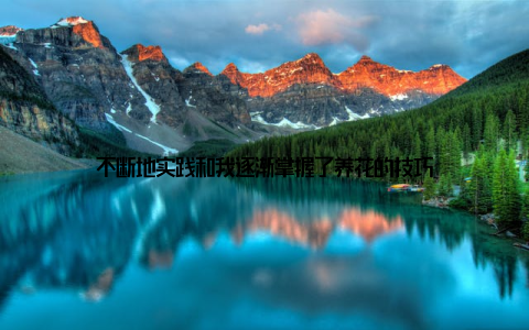 不断地实践和我逐渐掌握了养花的技巧