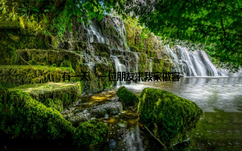 有一天, 一位朋友来我家做客