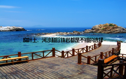 腐叶土、河沙和珍珠岩都是不错的选择