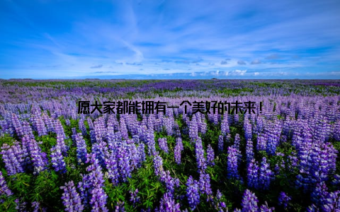 愿大家都能拥有一个美好的未来!