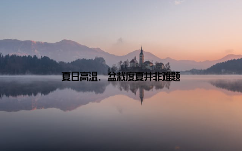 夏日高温, 盆栽度夏并非难题