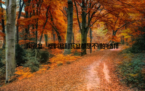 陶瓷盆、塑料盆和瓦盆都是不错的选择