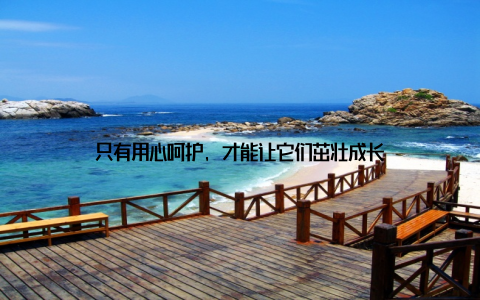 只有用心呵护, 才能让它们茁壮成长