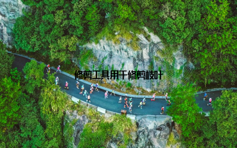 修剪工具用于修剪枝叶