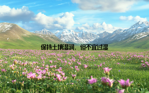 保持土壤湿润, 但不宜过湿