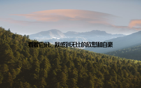 看着它们, 我感到无比的欣慰和自豪