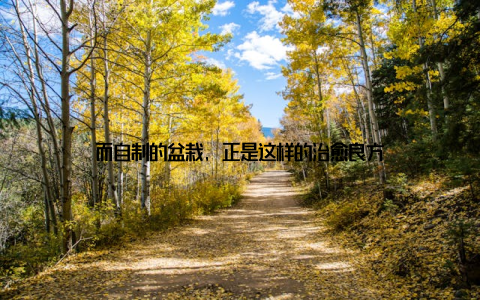 而自制的盆栽, 正是这样的治愈良方