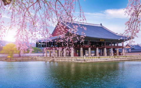 检查根系根系应发达, 无腐烂