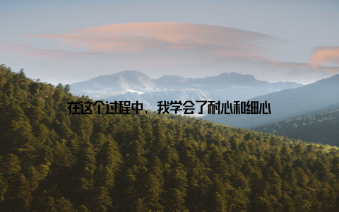 在这个过程中, 我学会了耐心和细心