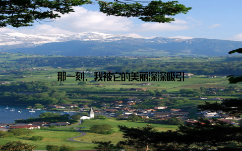 那一刻, 我被它的美丽深深吸引