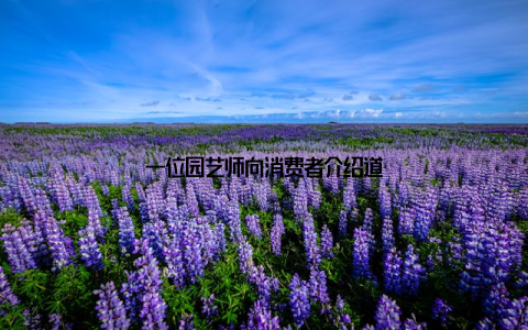 一位园艺师向消费者介绍道