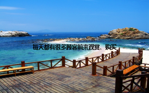 每天都有很多顾客前来观赏、购买