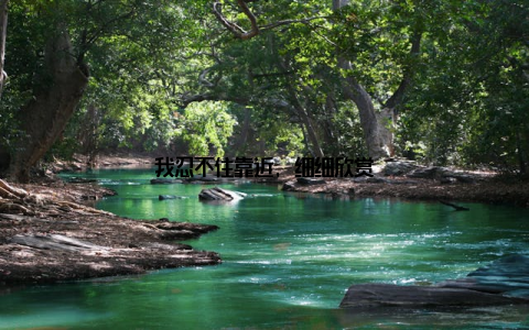 我忍不住靠近, 细细欣赏