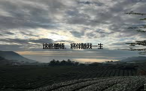 这些感悟, 将伴随我一生