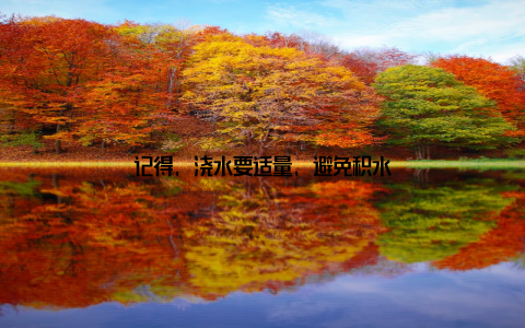 记得, 浇水要适量, 避免积水