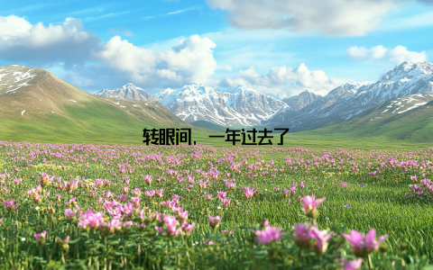 转眼间, 一年过去了