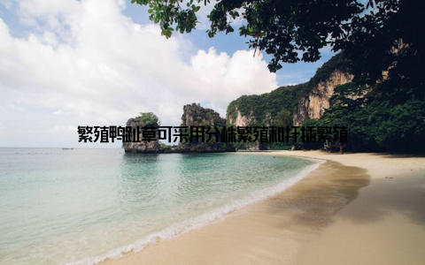 繁殖鸭趾草可采用分株繁殖和扦插繁殖