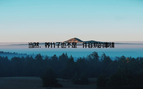 当然, 养竹子也不是一件容易的事情