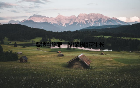 要适当施肥, 以促进梅花生长